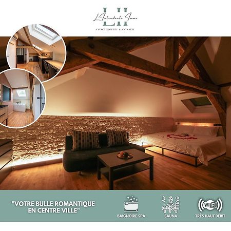 Evasion Chic, Spa Et Sauna Sous Les Toits Nancy Eksteriør bilde