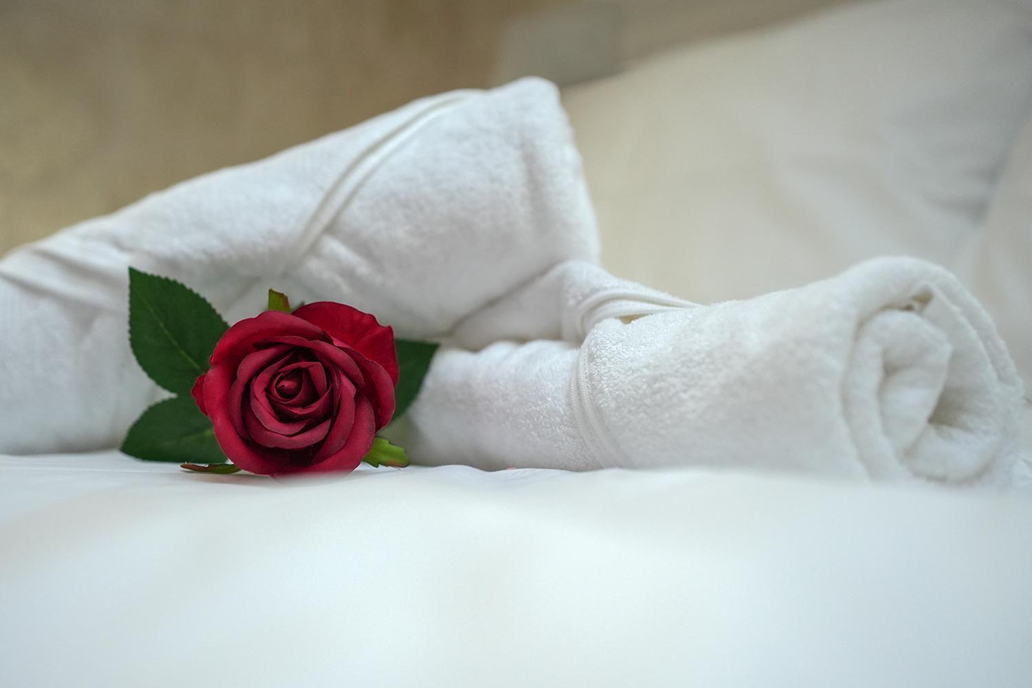Evasion Chic, Spa Et Sauna Sous Les Toits Nancy Eksteriør bilde