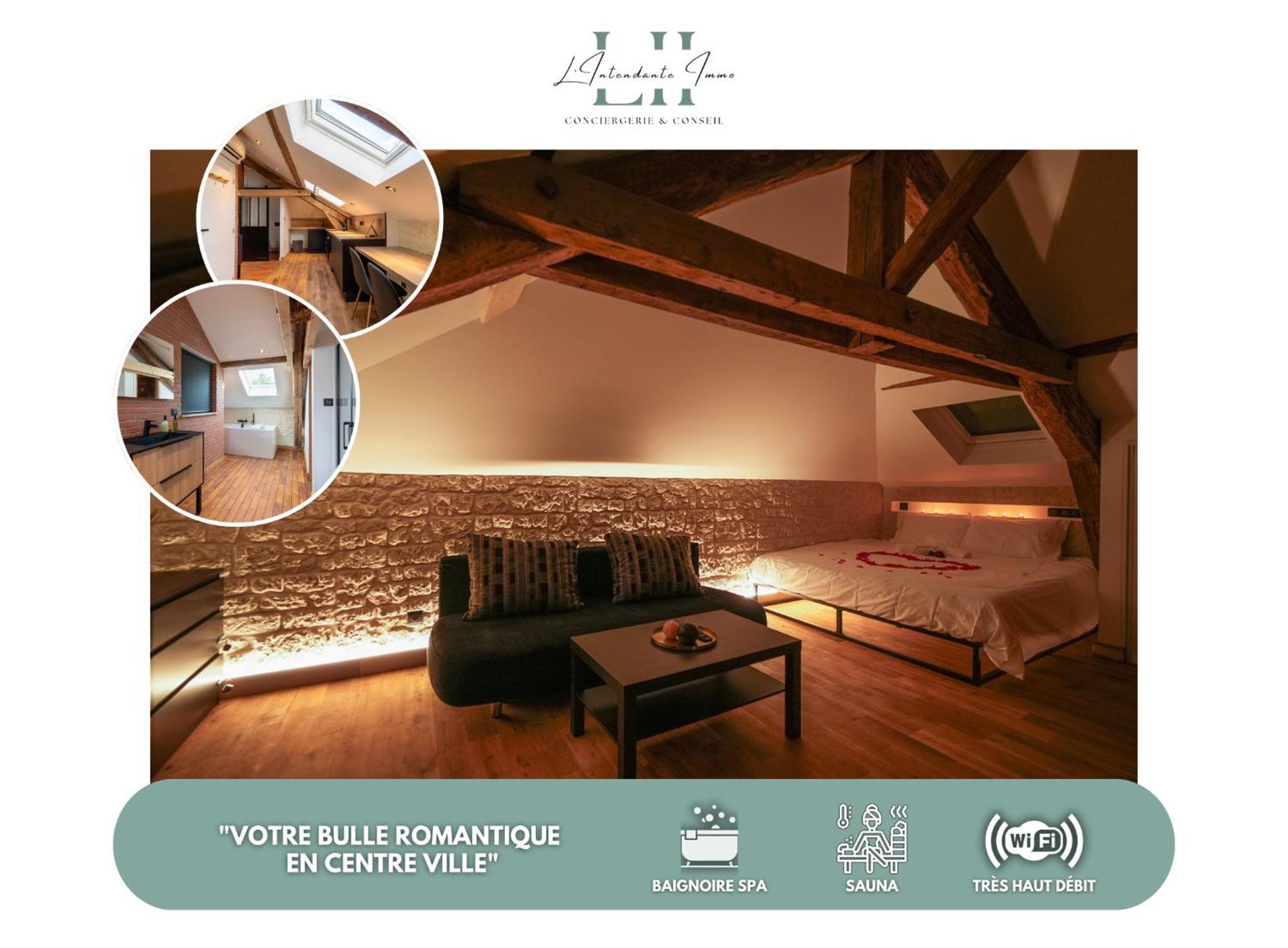 Evasion Chic, Spa Et Sauna Sous Les Toits Nancy Eksteriør bilde